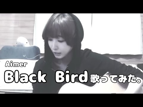 Black Bird/Aimer cover