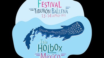 Primer Simposio Tiburón Ballena en Holbox