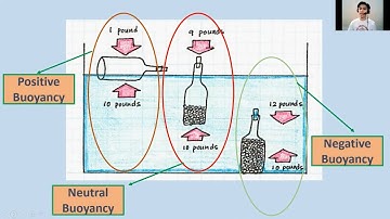 The Concept of Sinking and Floating
