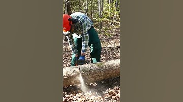 Best Firewood Gathering Setup #shorts #kubota #tractor