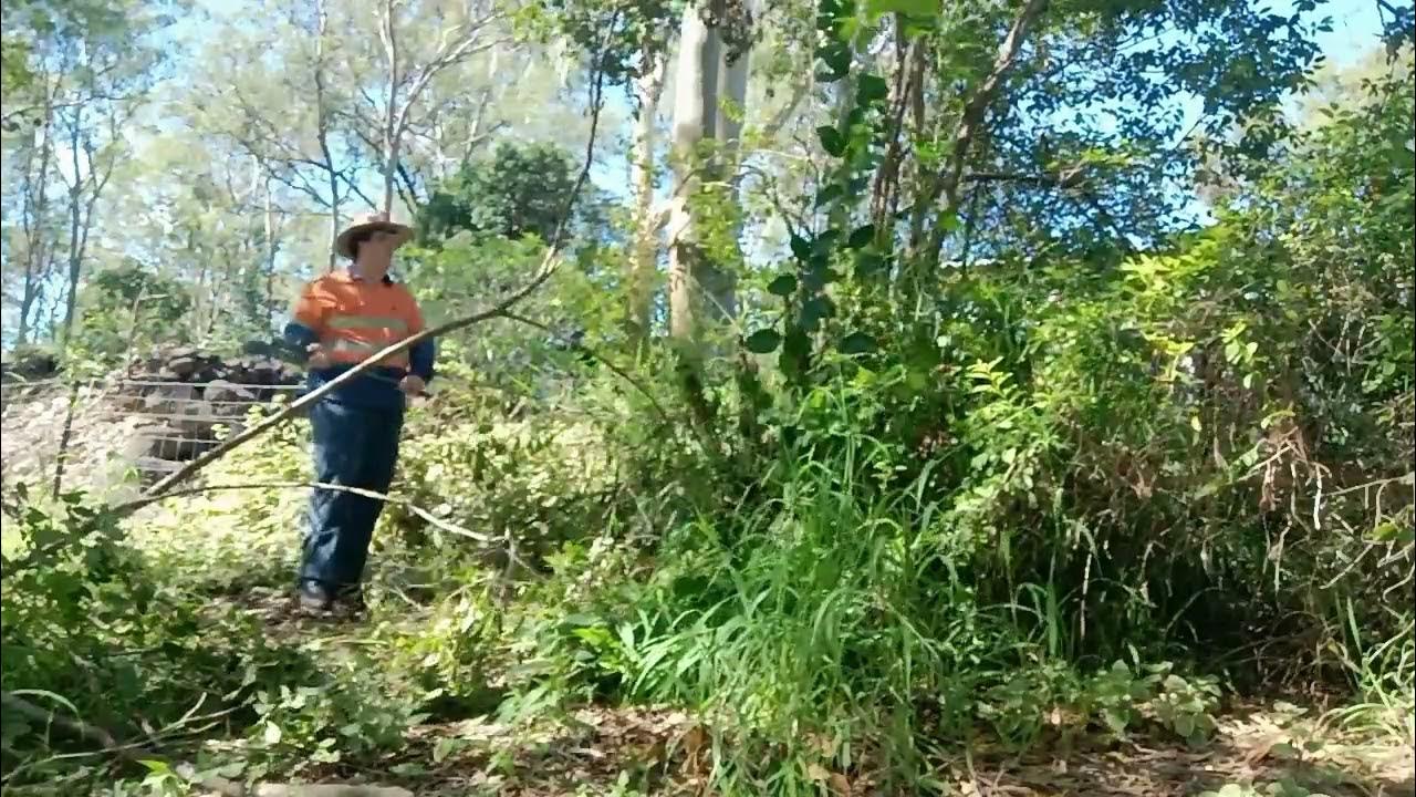 Using Cane Knife and Brush Axe YouTube