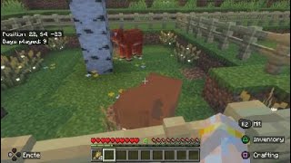 Minecraft ASMR