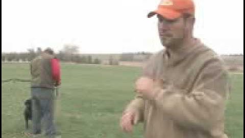 At the Line: E-Collar II