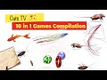 Cats tv  cat games compilation for cats  dogs 10 in 1 cat games mix  3 hours