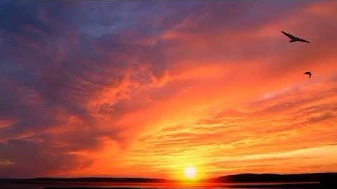 Beautiful Sunrise Video With Birds 🐦🐦l Early Morning Time Lapes l Motivational Vibe l