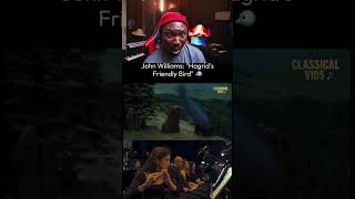 The Hardest Flute Solo In Harry Potter