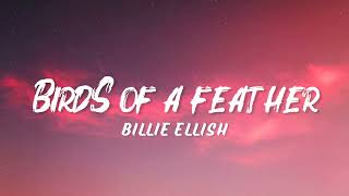 Billie Eilish - BIRDS OF A FEATHER (Lyrics)#billieeilish #birdsofafeather #lyrics 