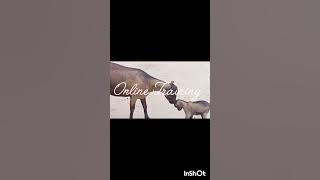 Zoyenela kusata pa ulimi wa Nkhosa ndi Mbuzi kuti ulimi usakuvuteni.