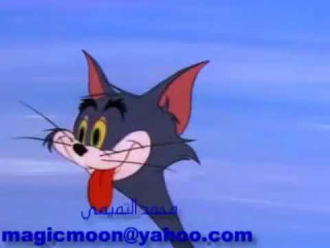 هشام نور مشغول بيكى