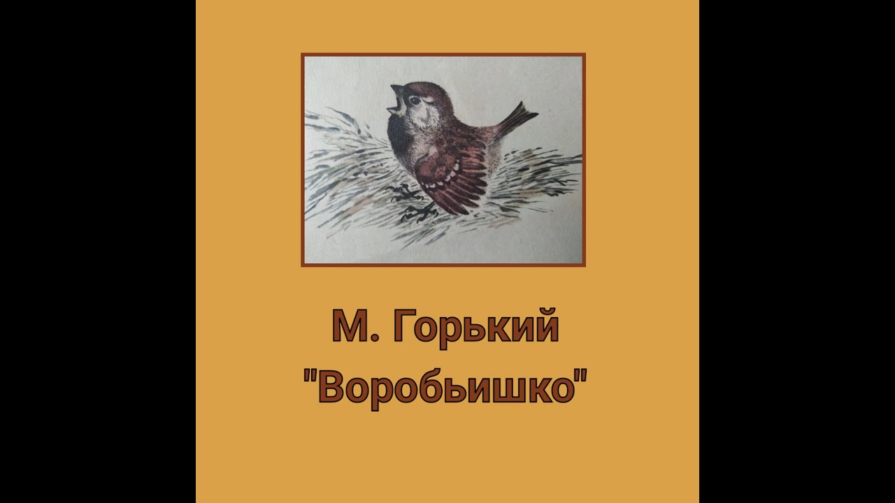 Произведение м горького воробьишка. Сказка Максима Горького Воробьишко.