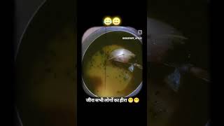 #shortvideo #youtubevideo #reeltrending #likeforlike