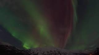 Aurora 11/12/2025