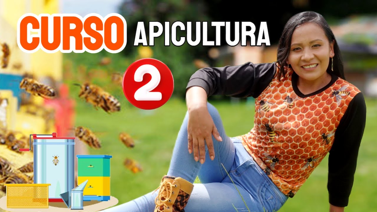 Apicultura para principiantes: La guía definitiva | Curso # 2