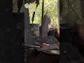 ⚒️ From Fire to Finish Master Blacksmith Craft#️⃣ Hashtags:#Blacksmith #Forging #MetalWork