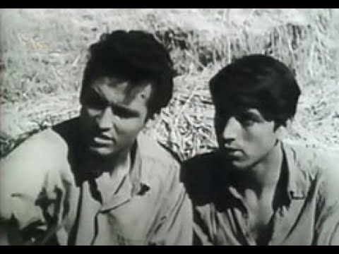 Αγιούπα – Το κορίτσι του κάμπου (1957) – Η πρώτη ταινία του Ανέστη Βλάχου – Ταινία