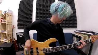 Red Hot Chili Peppers - By The Way (Bass cover)