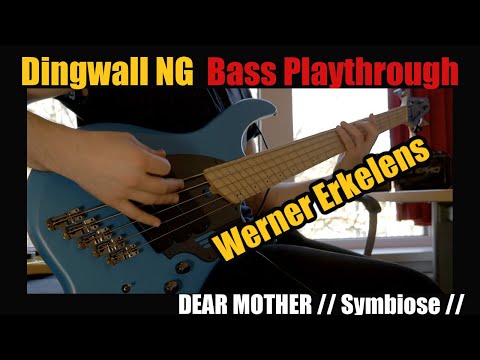 Werner Erkelens- Dingwall