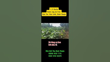 Bán đất vườn trái cây đang thu hoạch Đức Linh, Bình Thuận #vườntráicây #duclinh #bìnhthuận