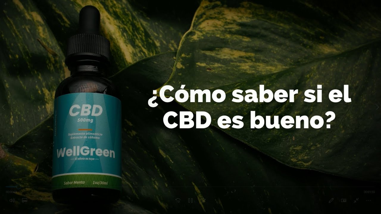 ¿Cómo saber si el CBD es bueno? | WellGreen