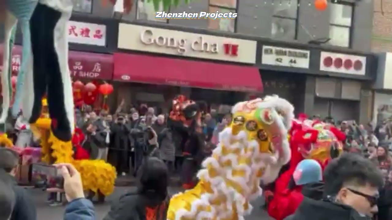 New York View： Lunar New Year  Chinatown Lion Dance 02/28/2026  #Lunar New Year #Chinatown