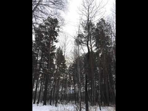 Зимние пейзажи Казахстана.