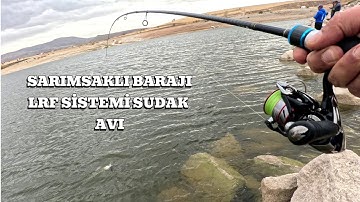 LRF VE JİG İLE SUDAK AVI #animals #art #fishing #fish #keşfet #reelsvideo  #reel #food #photography