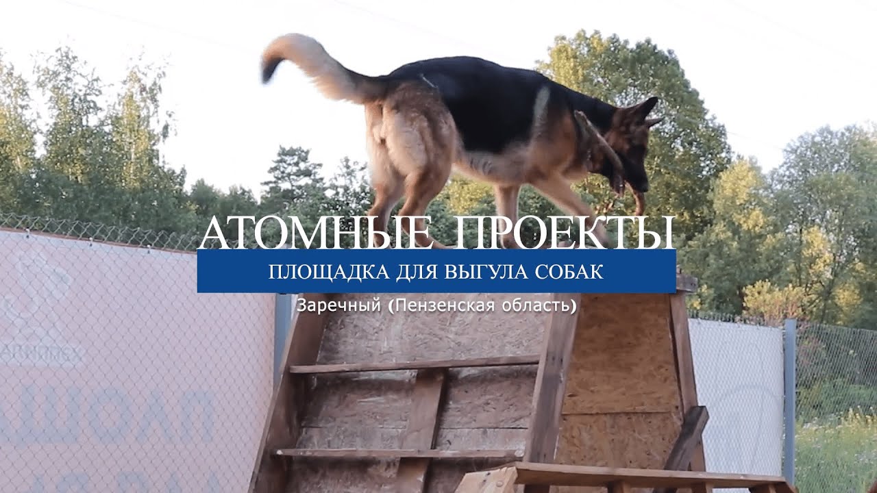 «Атомные проекты». Заречный Пензенской области. Аскар Камышев - YouTube