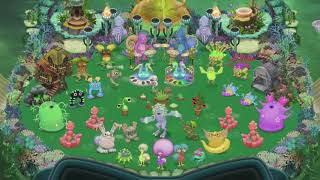 Water Island With Maggpi