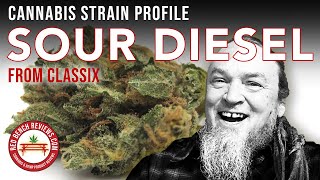 Classix | Sour Diesel Strain Review | 20.45% THC