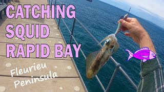 How to Catch Squid at Rapid Bay, Fleurieu Peninsula South Australia