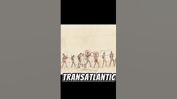 Do you know the origin of Pidgin English? Find out in this video #pidgin #westafrica #viral