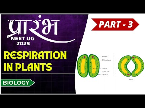 Respiration in Plants