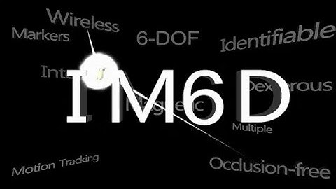 IM6D: Magnetic Tracking System with 6-DOF Passive Markers for Dexterous 3D Interaction and Motion