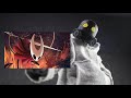 Another Silksong video for your feed