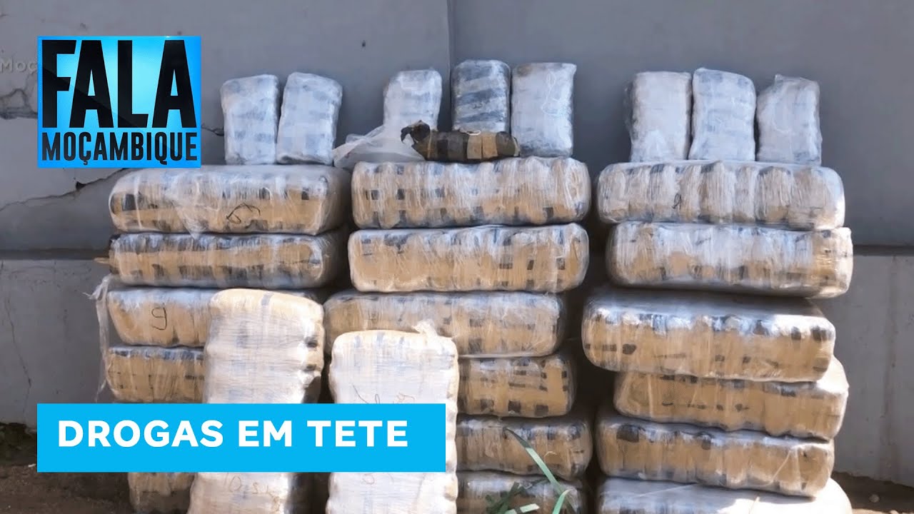 SERNIC apreende mais de 200 Kg de cannabis sativa na posse de dois cidadãos