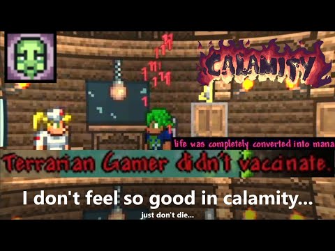 Wait, you can *die* like this in Terraria with Calamity mod?