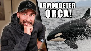 ORCA wurde ERSCHOSSEN?  Orca mitten in Frankreich verstorben... | Robert Marc Lehmann