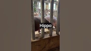 Stop Chasing Goals That Aren’t Yours | Mindset Reset