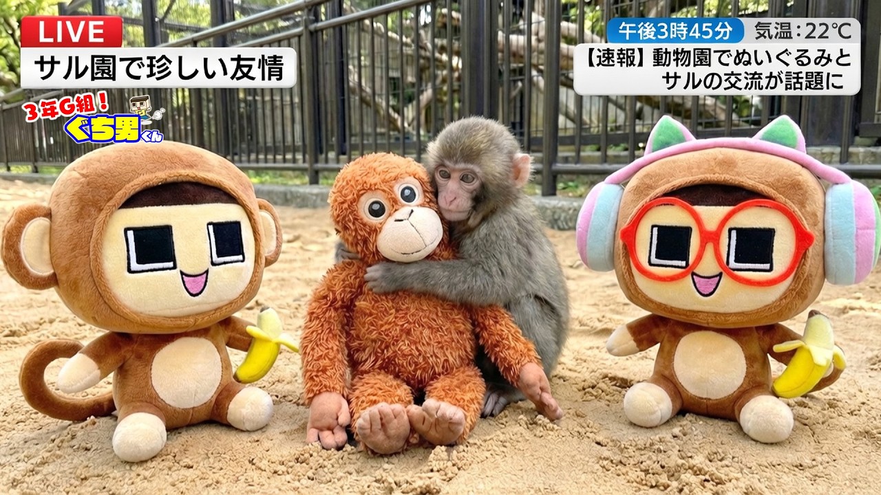 Guchio wants to save the outcast baby monkey! Go, Punch-kun! [3rd