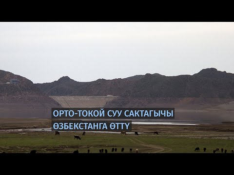 Video: Мелүүн токой кайсы жерде жайгашкан?