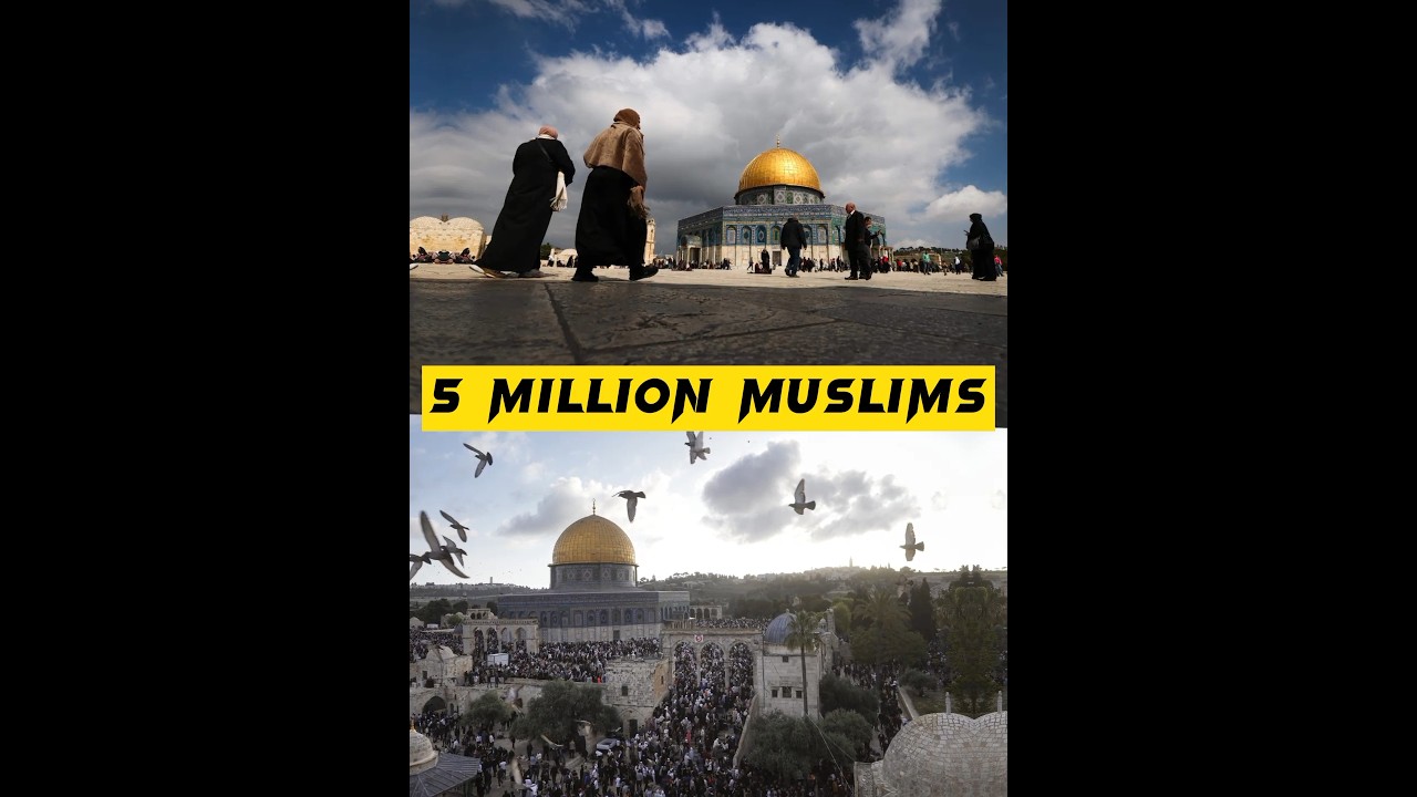 Exploring the Importance of Palestine for Muslims ❤️ #shorts #youtubeshorts #viral #freepalestine
