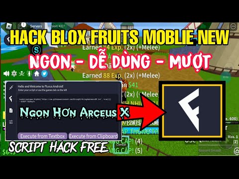 Video [ROBLOX] CÁCH HACK BLOX FRUIT MOBILE MỚI TRÊN ĐIỆN... - youtube
