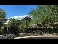 Episode 806  gardening in the desert southwest