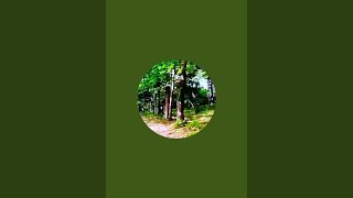 190e victoire de Vincent, sur les journalistes de fiction et les 🌀 vents 🌬️ du monde, TLMVPSP, Fce 2