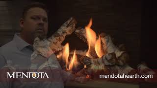 Mendota Fullview Modern Gas Fireplace