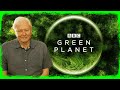 Bbc belgesel tantm ve haberleri  green planet yeil gezegen 2022  bitkilerin dnyas podcast