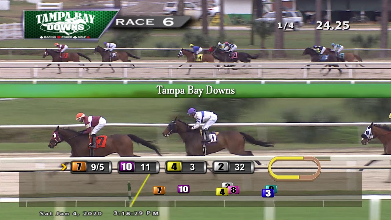 Tampa Bay Downs Replays 1 4 20 Race 6 YouTube