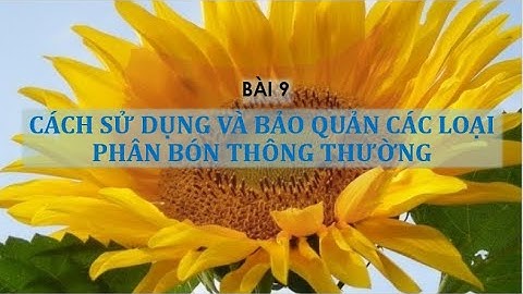 So sánh 3 loại phân bón thông thường