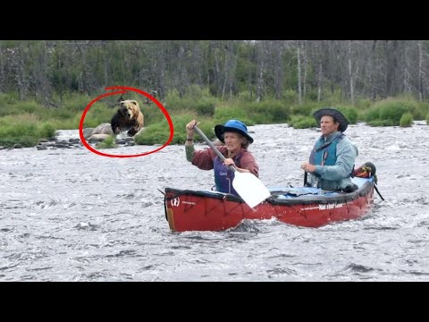 The Horrifying Recent Bear Attack In Banff, Canada
