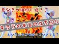 【＃コンパス】見ないと絶対損！キララの秘めた力！爆発力がやばい！！